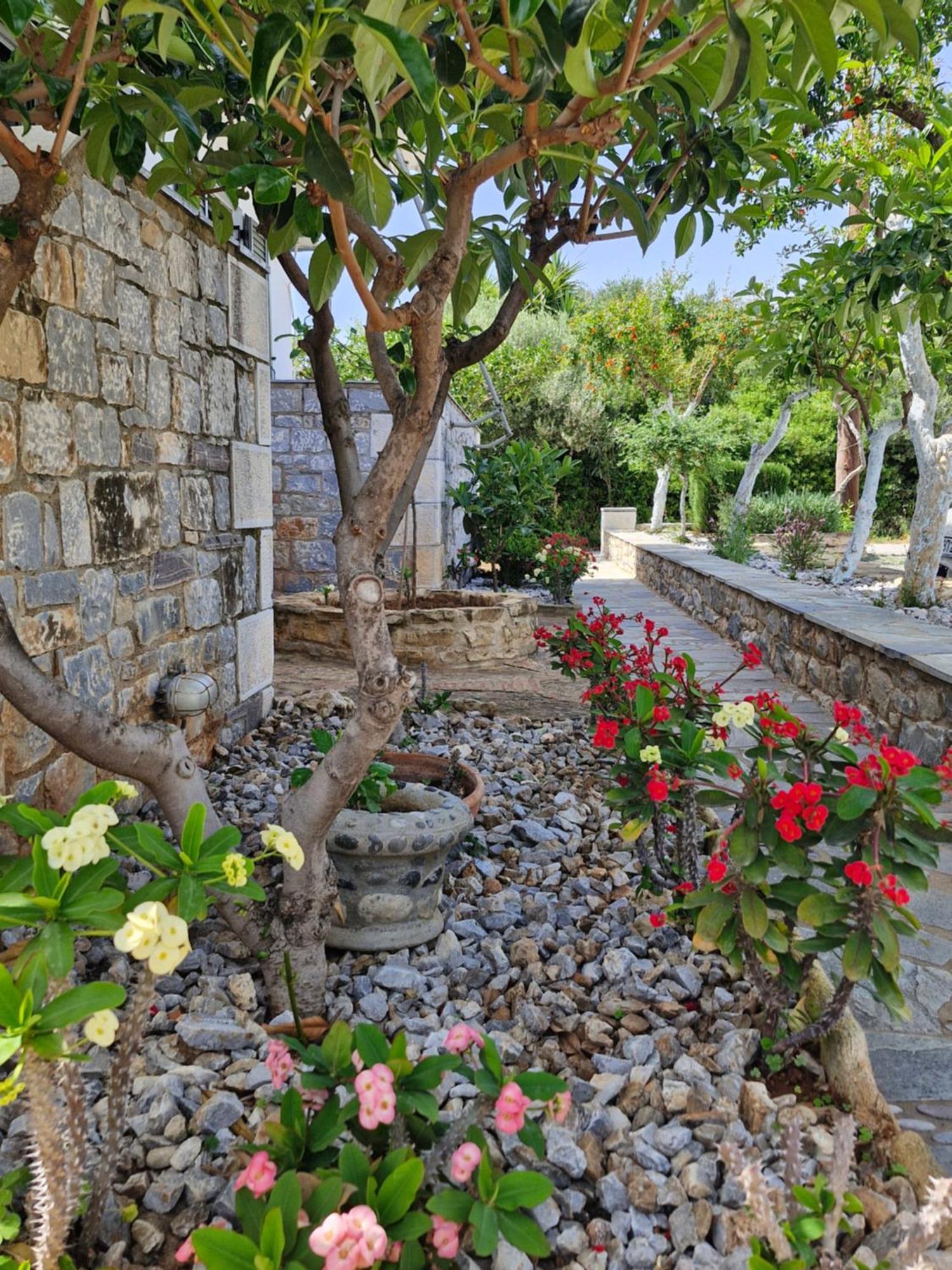 Anna Maria Studios Agios Nikolaos  Buitenkant foto