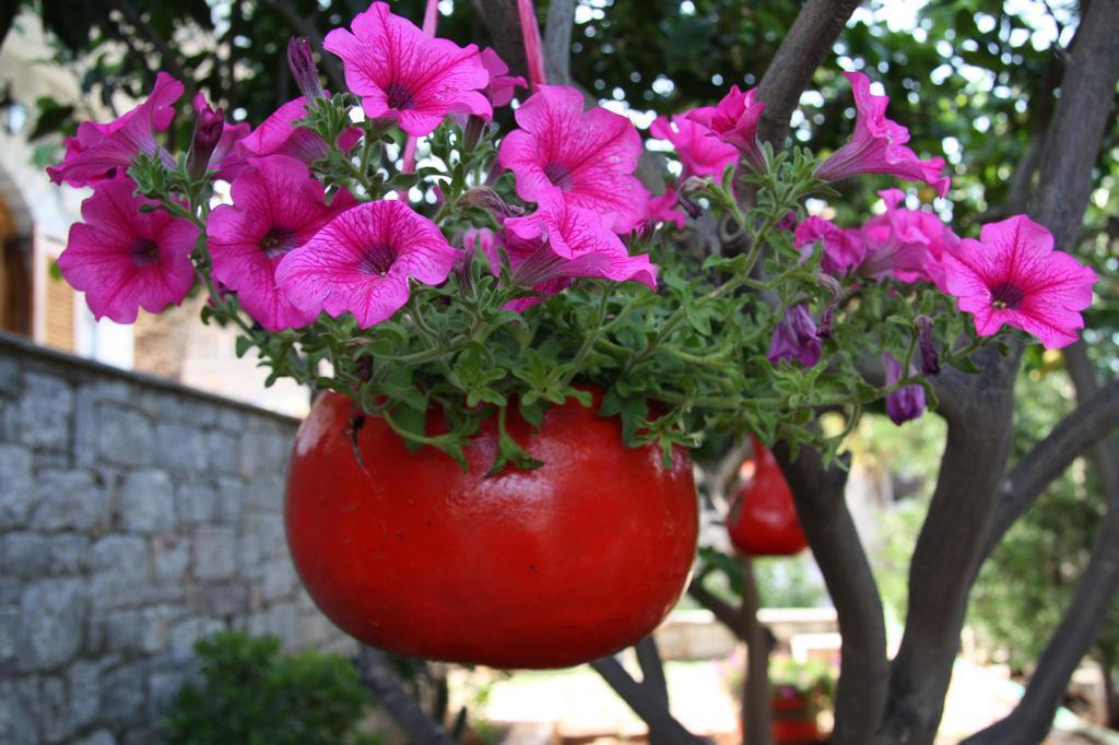 Anna Maria Studios Agios Nikolaos  Buitenkant foto